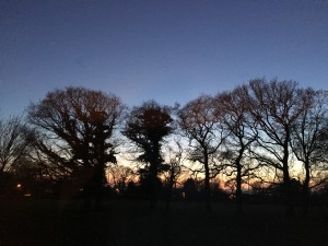 img_0322