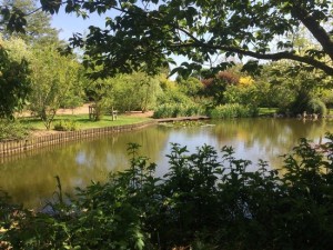 parc-floral-william-farcy