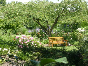 parc-william-farcy